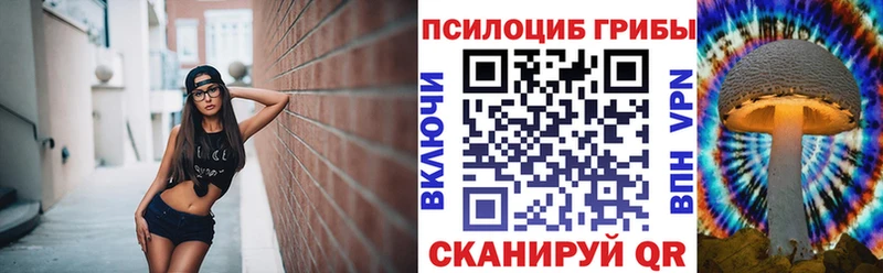 Галлюциногенные грибы Cubensis  купить наркотик  blacksprut   Ливны 